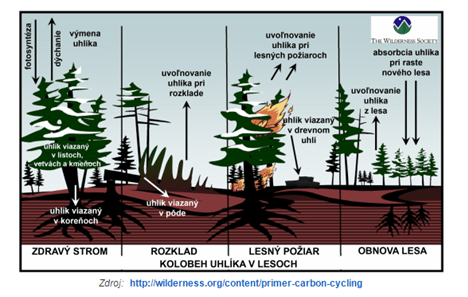 uhlik les požár.png