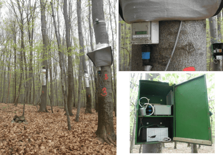 obr-10-aplikacia-thb-metody-sapflow-metre-vo-vyskumnej-praxi