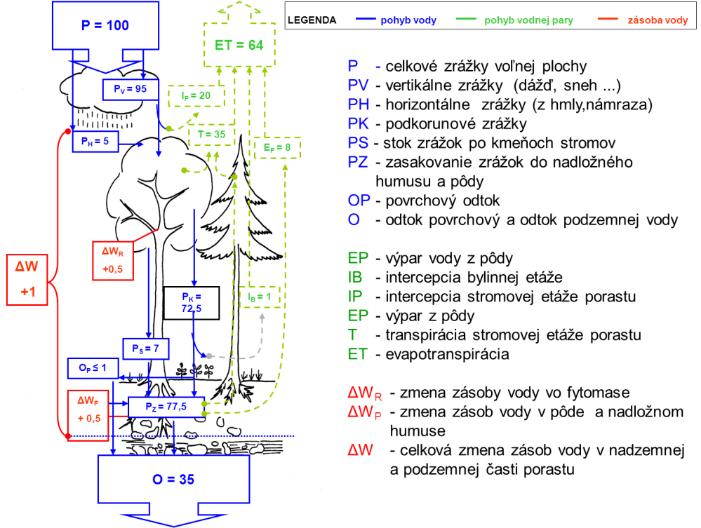obr-3-znazornenie-pohybu-vody-v-lesnom